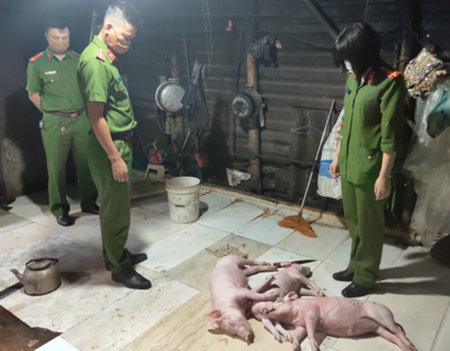 Chuyên gia cảnh báo chất độc khủng khiếp từ món lợn quay thơm phức được làm từ lợn chết - Ảnh 2. Chuyên gia cảnh báo chất độc khủng khiếp từ món lợn quay thơm phức được làm từ lợn chết - Ảnh 2.