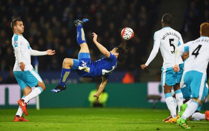 Fan Leicester City: