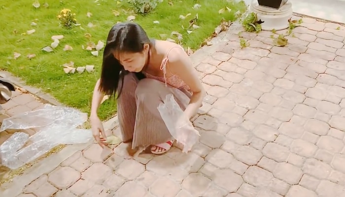 Thuỷ Tiên cho kiến ăn trong đoạn clip đăng tải trên MXH.