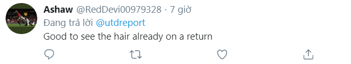 CĐV Man Utd: